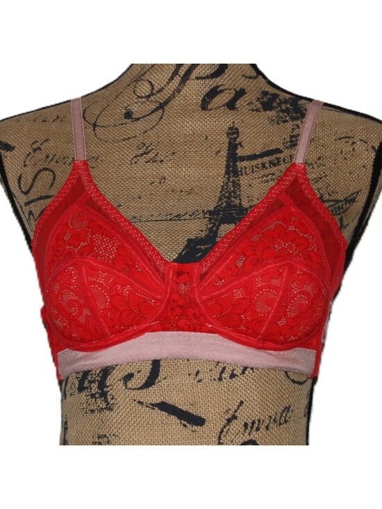 We Are Hah Other - We Are HAH On Point Bra Size 32-40E Blood Orange Red #60203